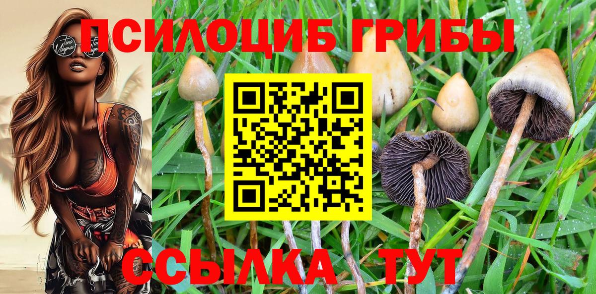Галлюциногенные грибы Cubensis Долгопрудный